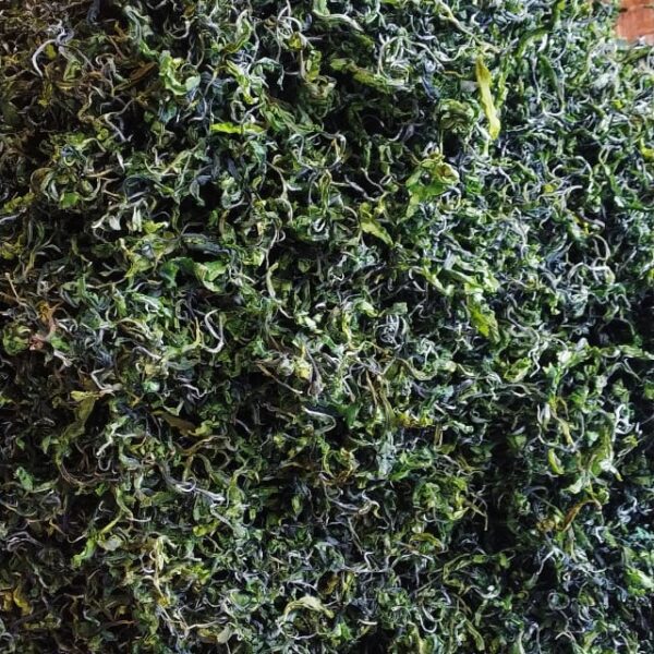 Limited Edition Green Tea  100gm
