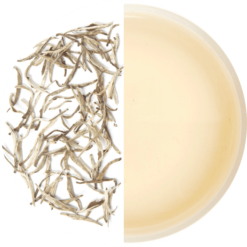 White Tea